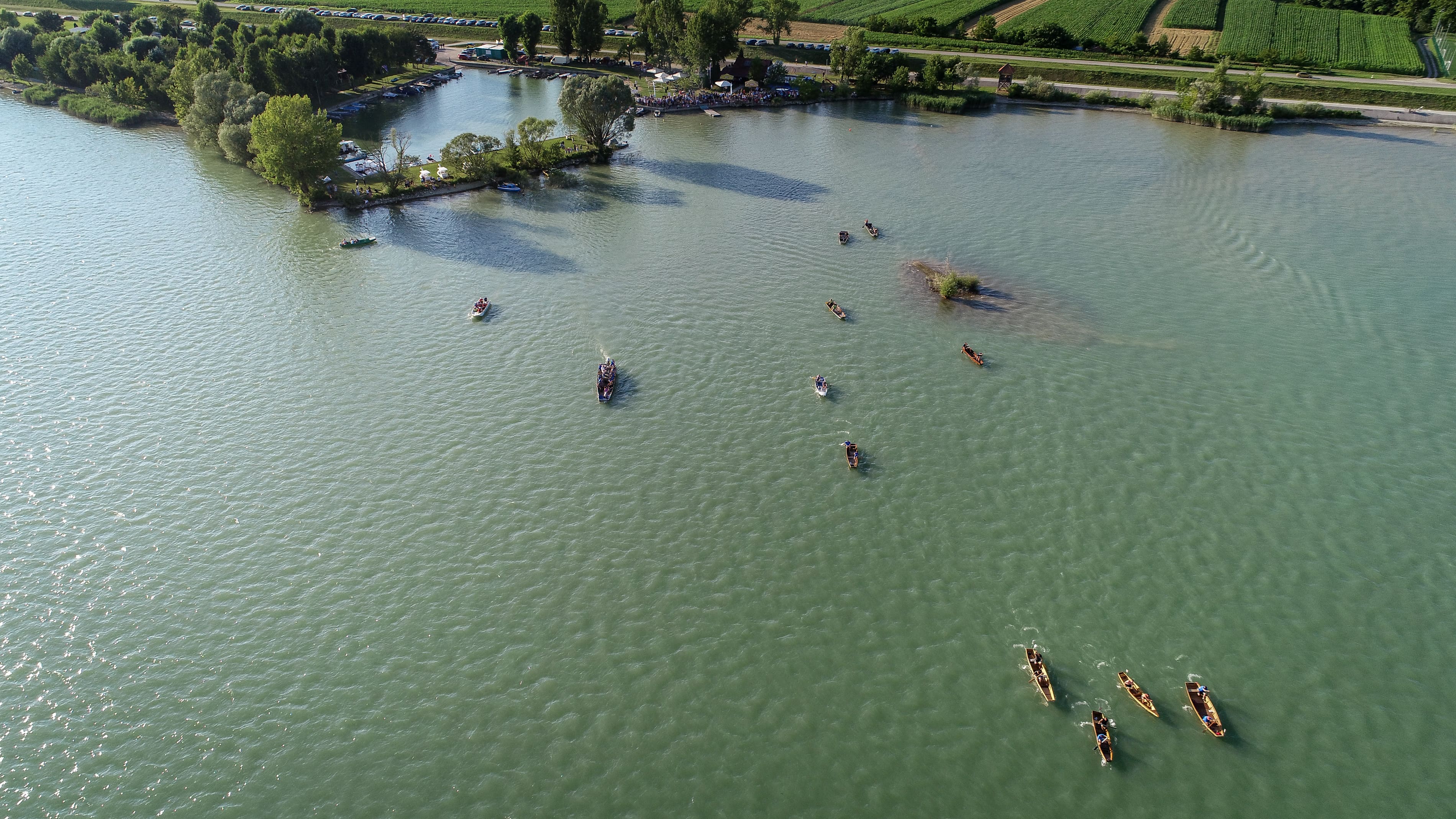 LOV NA LABUĐE PERO 2024.